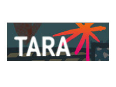Tara Arts  - Tara Arts 